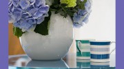 Burgess Hill Dental