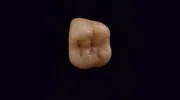 Karma Dental Care