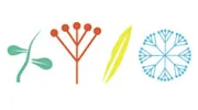 Meadows Dental Care