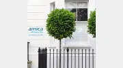 Arnica Dental Care